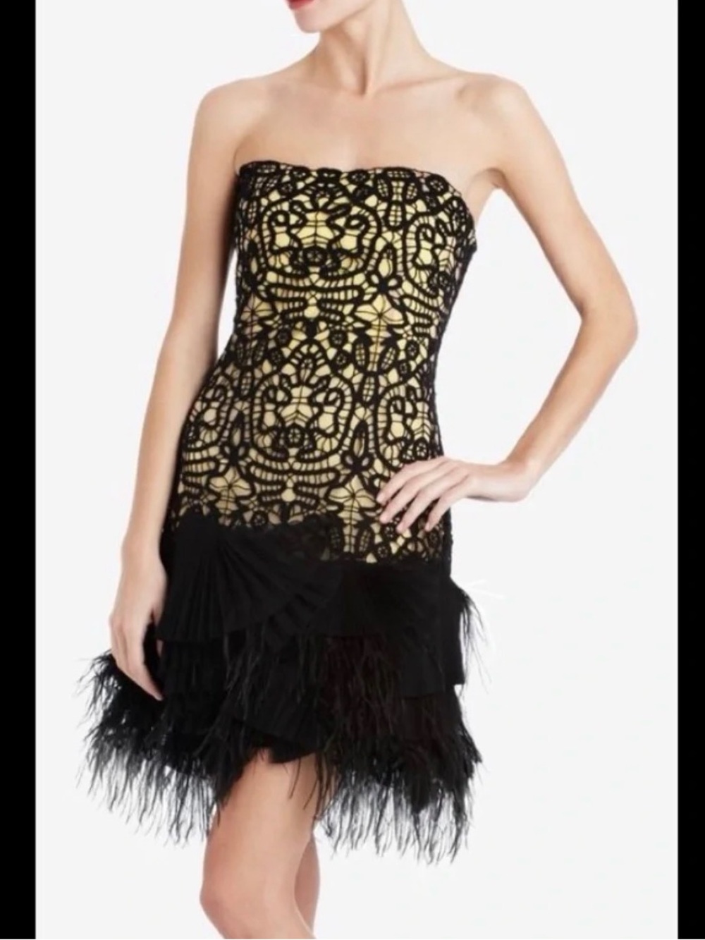Strapless Black Lace Overlay Dress with Gold Lining
